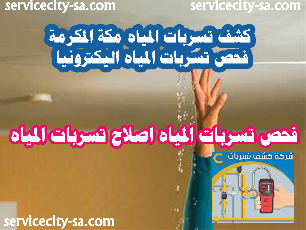 كشف تسربات المياه مكة المكرمة فحص تسربات المياه اليكترونيا